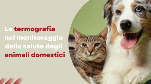 Termografia nel monitoraggio della salute degli animali domestici